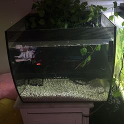 10 Gallon Fish Tank/ Built In Filter 