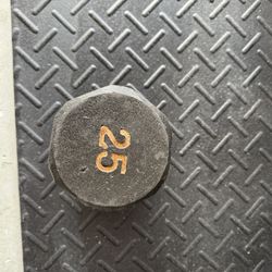25lb Dumbbell