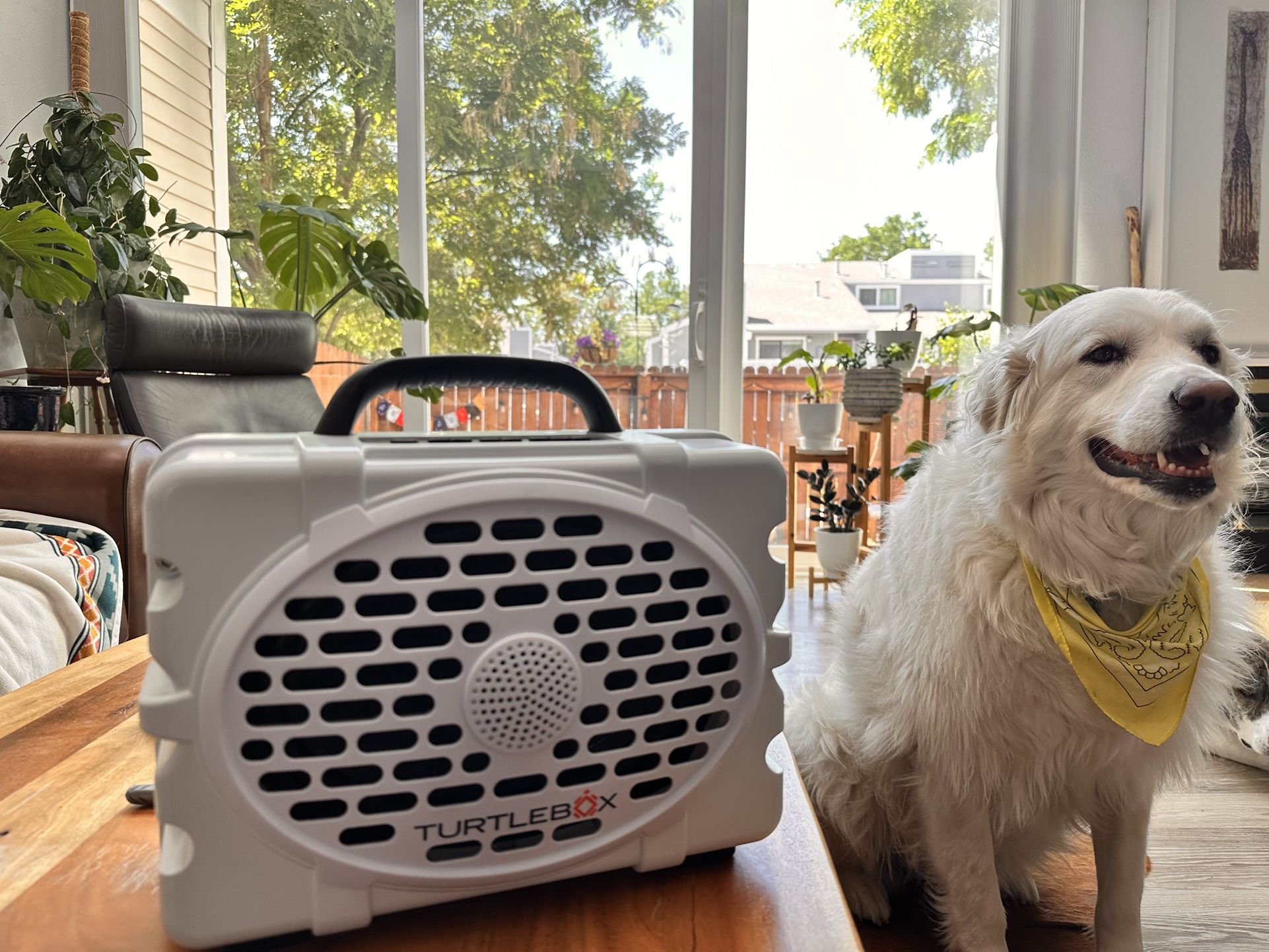 Turtlebox Waterproof Speaker