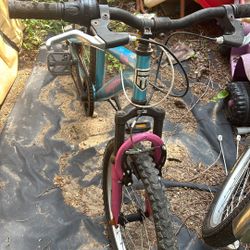 Bicycles Mongoose 20 In Tires. Holly Area
