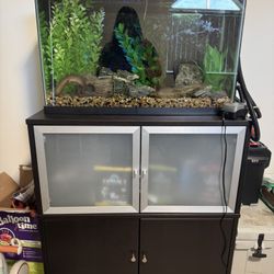 Fish Tank 