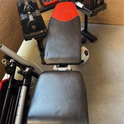 bowflex bench and dumbbells set with stand