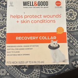Cat Recovery Collar