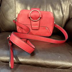 BCBG Purse