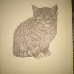 Kittens Copyright 1974