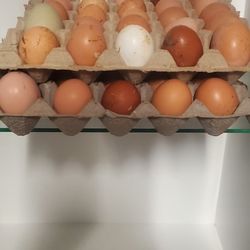 Fresh Organic Eggs 