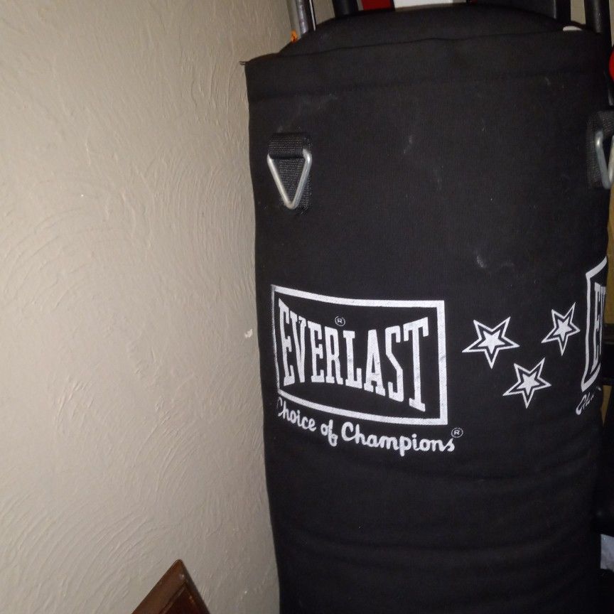 Brand New Everlast Heavy Bag,and Stand