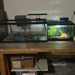 20 Gallon And 5 Gallon Fish Tank 