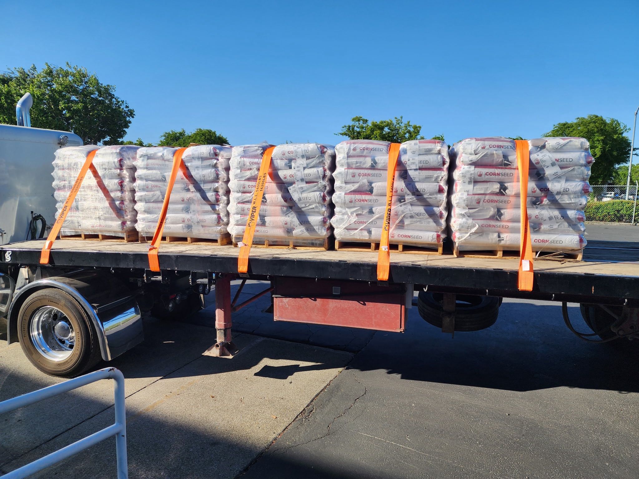 New Viper 4" X 30' Winch Straps Box Of 10