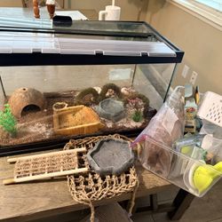 Hermit Crab Tank 
