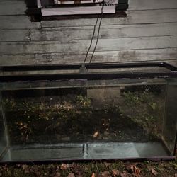 60  Gallon Tank