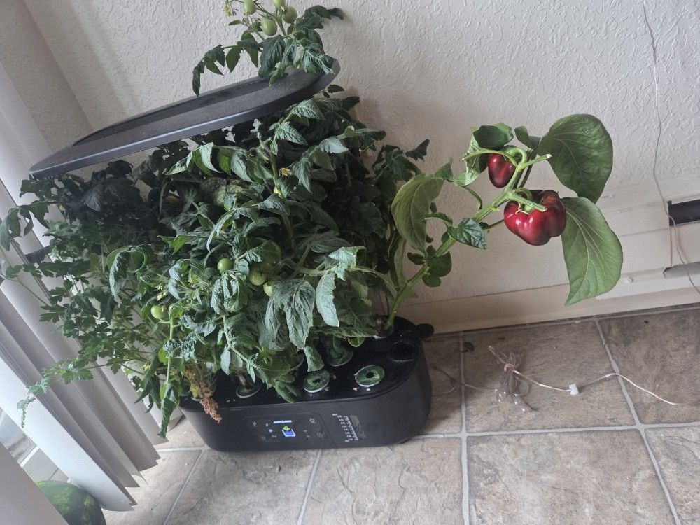 Infoor Herb Garden Hydroponics Brand: Ahopegarden