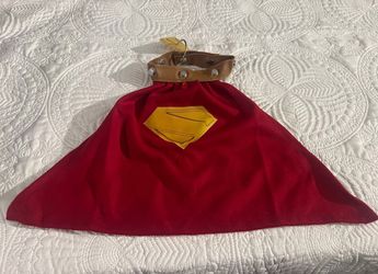Superman’s Dog Krypto Pet Costume (New)