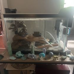 Aquarium with the accessories