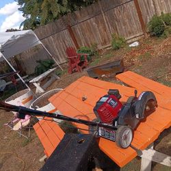 Craftsman 4cyccle Eger