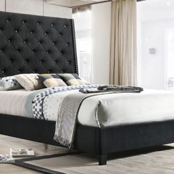 Bed Frame Queen Size. No Mattress