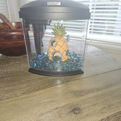 Aquarium  With Hood Light 