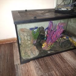 Fish Tanks