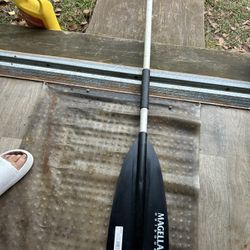 Palet And. Fish Nets. 