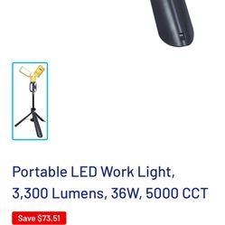 Lutec Work Light