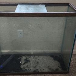 70 Gallon Fish Tank