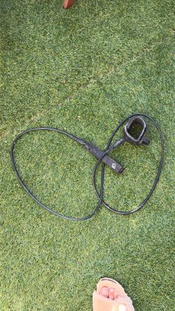 creatures pro lite 6 leash