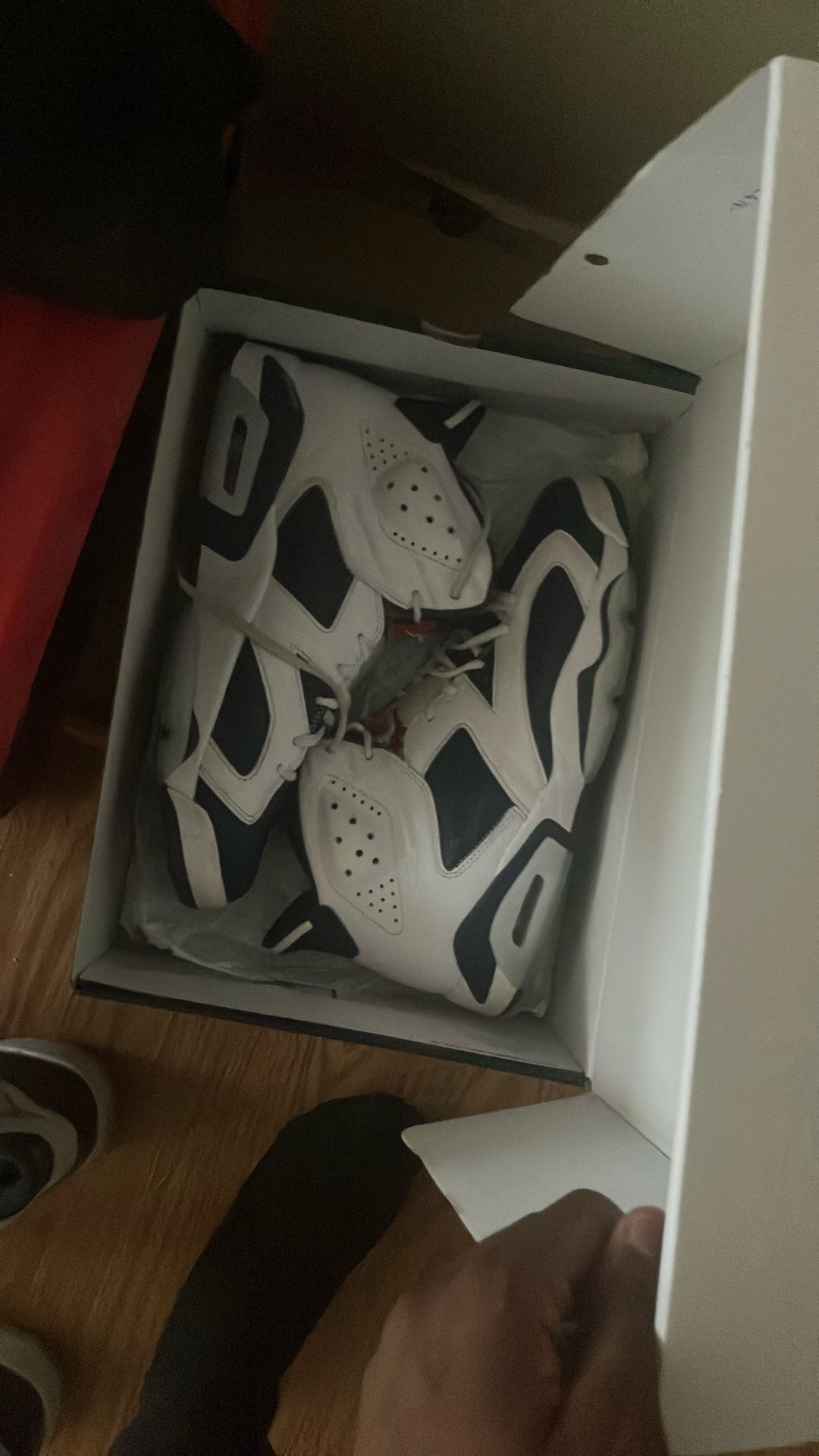 Jordan 6