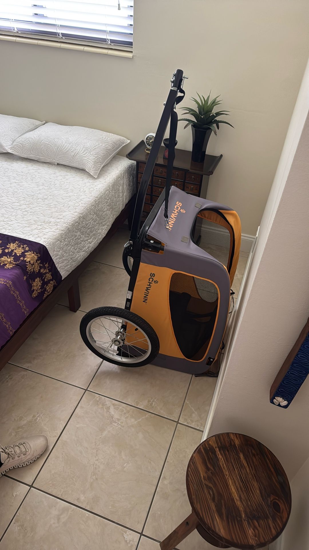 Schwinn Dog Carrier For Bike