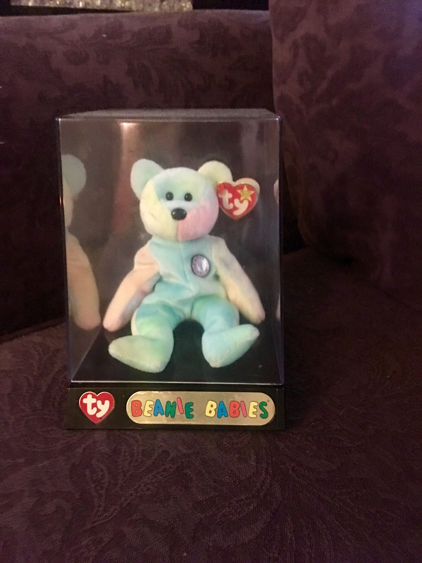 Beanie baby and Case