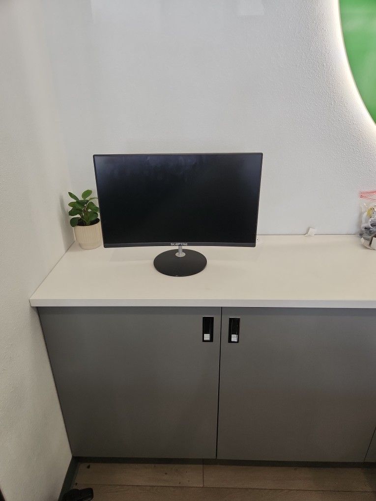 Sceptre Monitor T24