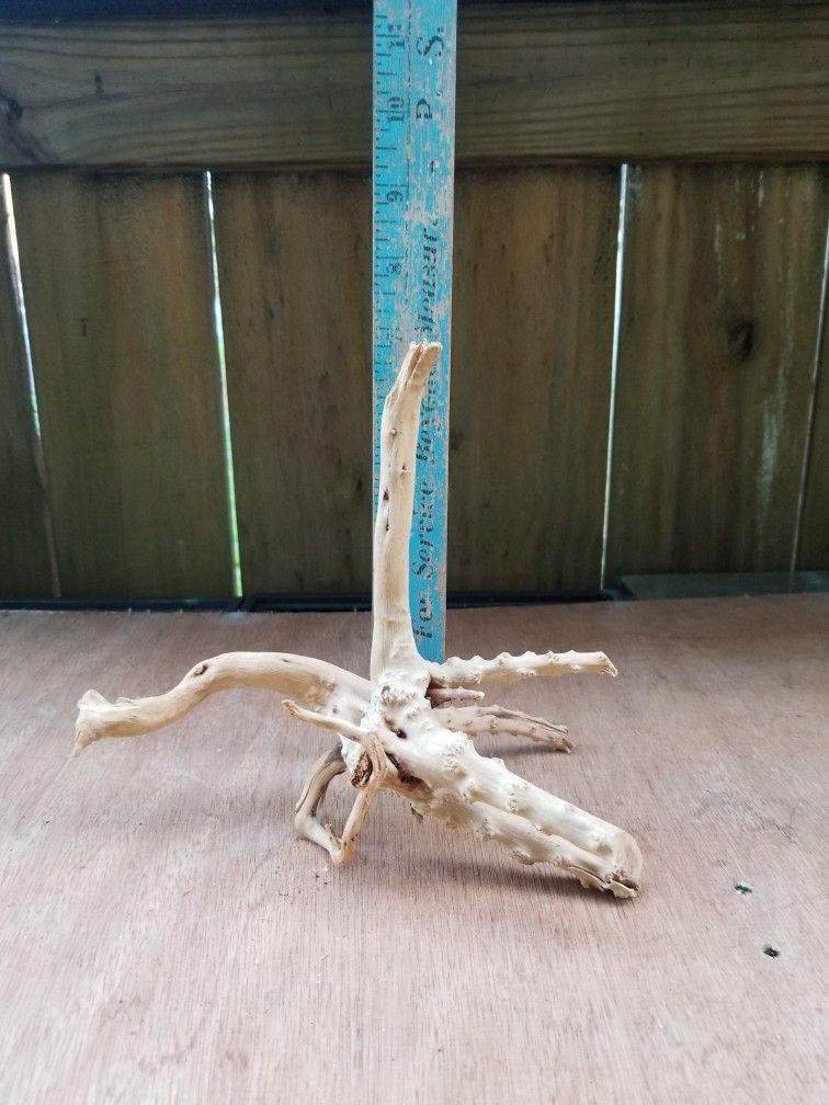 Spider driftwood  - Aquascaping  - Aquarium Decor  - Fish tank 