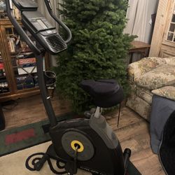 Gold’s Gym Cycle Trainer 200 Ci