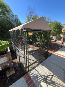 Kennel