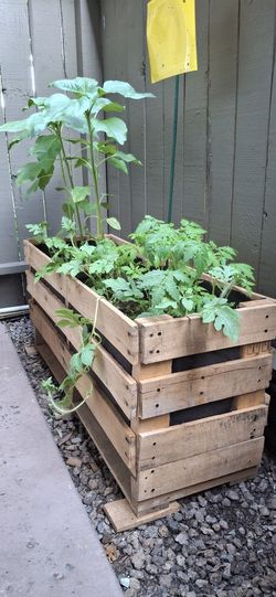 Raised Garden Beds