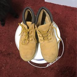 Basswood  Size 8