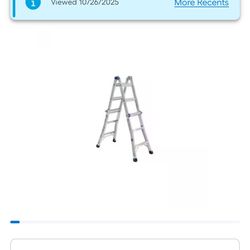 Werner Multi Ladder