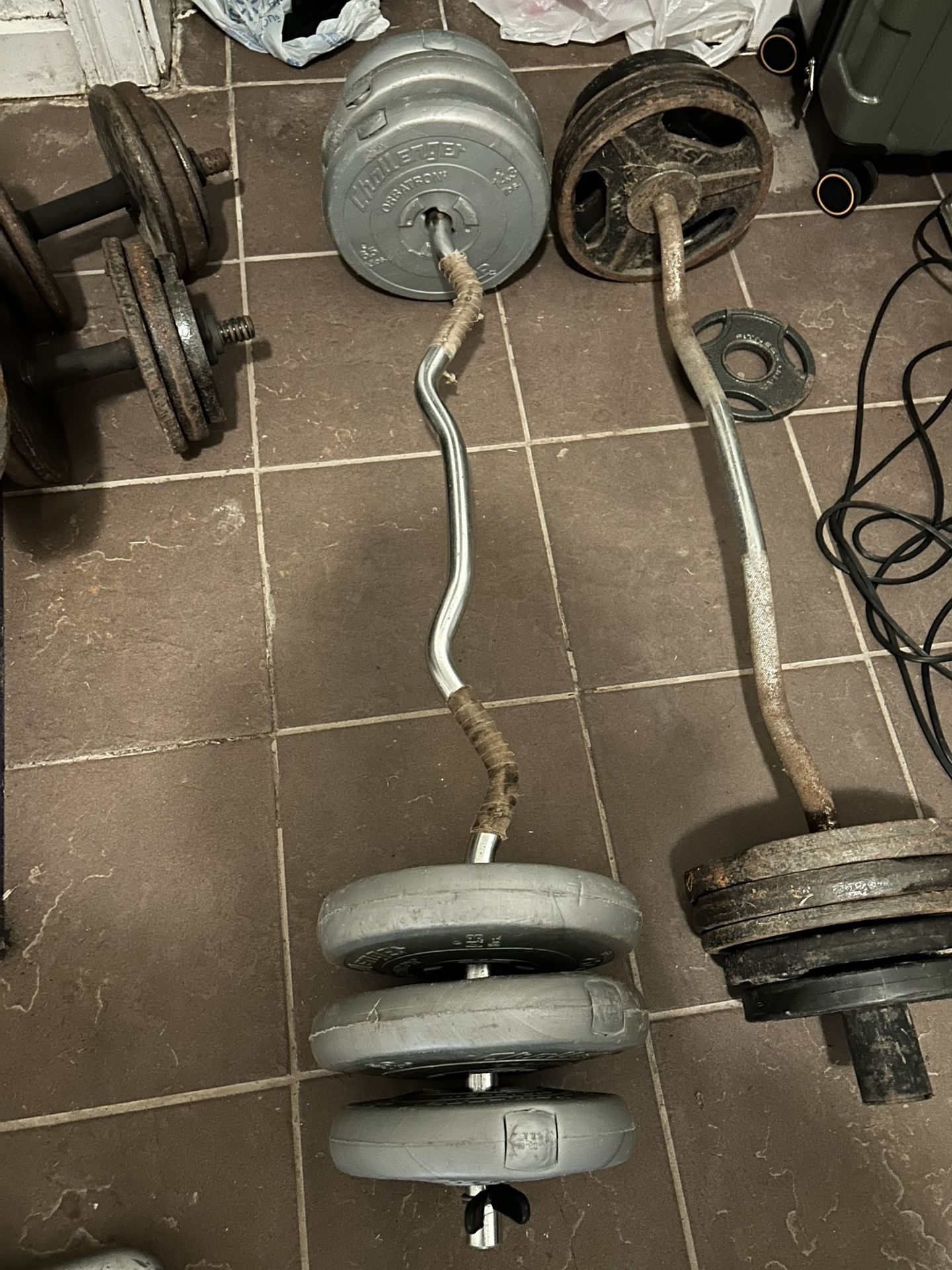 Curl Bar With Vinyl Metric Weights 1 Inch 75lbs 34 Kg
