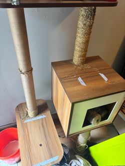 Free Costco cat tree