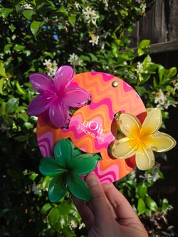 Colorful hair clips