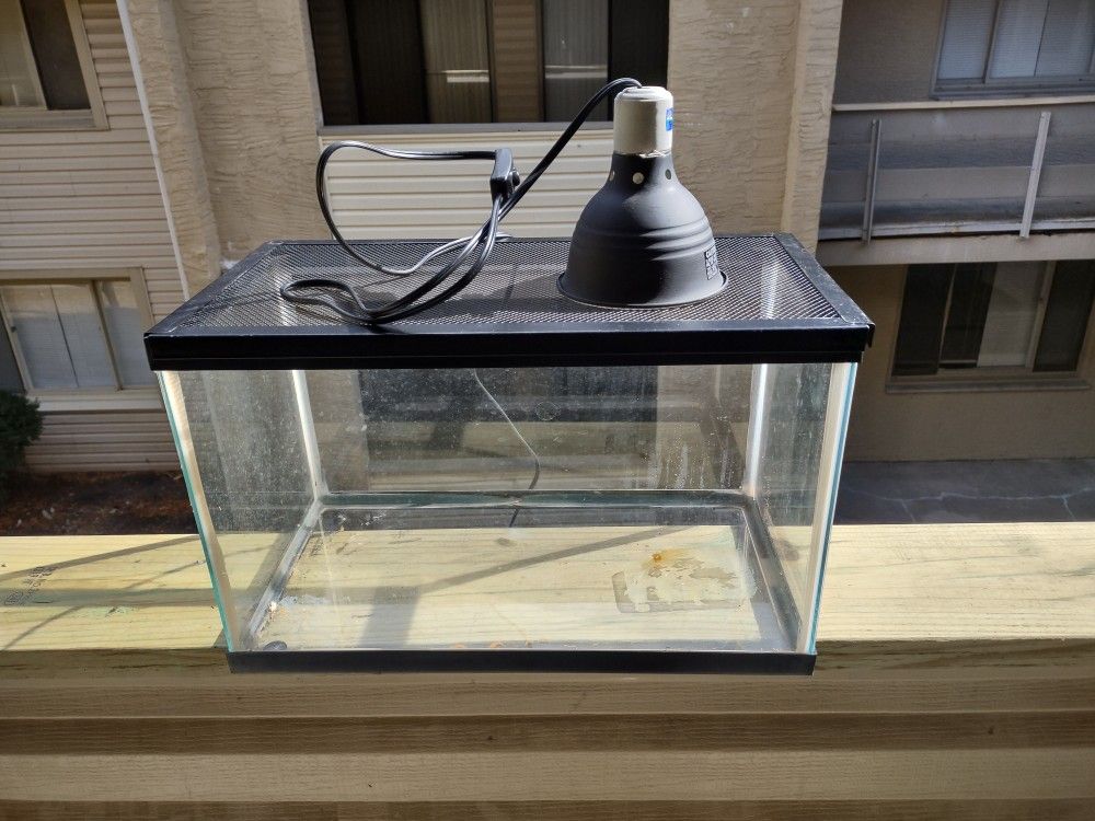 10 Gallon Glass Fish Tank With Critter Lid And Heat Lamp