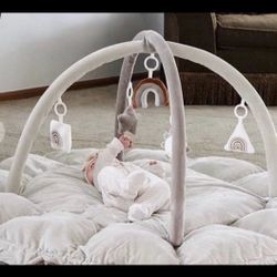 5-In-1 Thick & Plush Play Gym, Convertible Stage-Based Developmental Activity Gym & Play Mat From Baby To Toddler, Ball Pit, Pet Cushion, Balls Are No