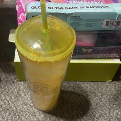 Starbucks, Disney Dole Whip Tumbler One Crack In Pic