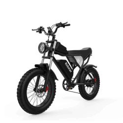 Ridstar Q20 Powerfull, Long-Range Electric Bike for Urban Commutes & Off-Road Adventures

Peak 1500W Brushless Motor
48V 20AH Removable Battery
33MPH 