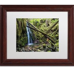 Wilderness White Matte Artwork by Pierre Leclerc, 11 by 14-Inch, Wood Frame