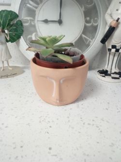 terracota face pot