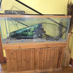 50 gotta fish bowl with all the accessories