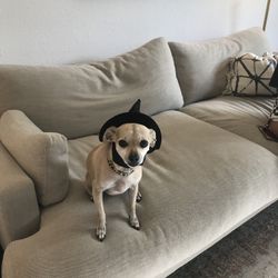 Crate and Barrel Couch 