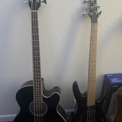 Ibanez Basses