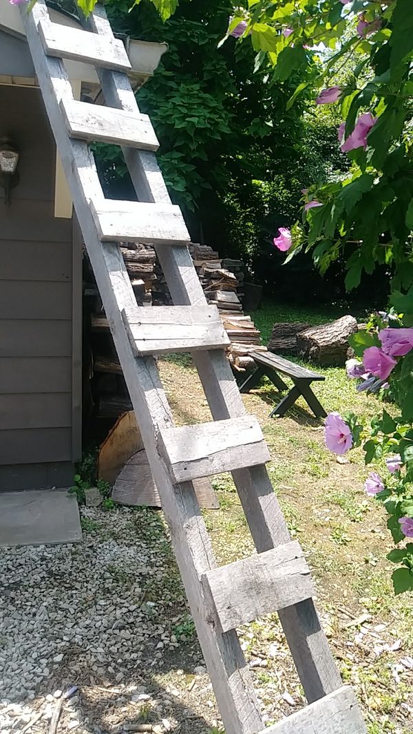  Chicken Coop loft or Clubhouse ladder for Sale in 