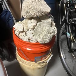 Aquarium Rocks/Coral